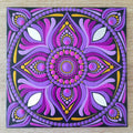 6" Magenta Mandala